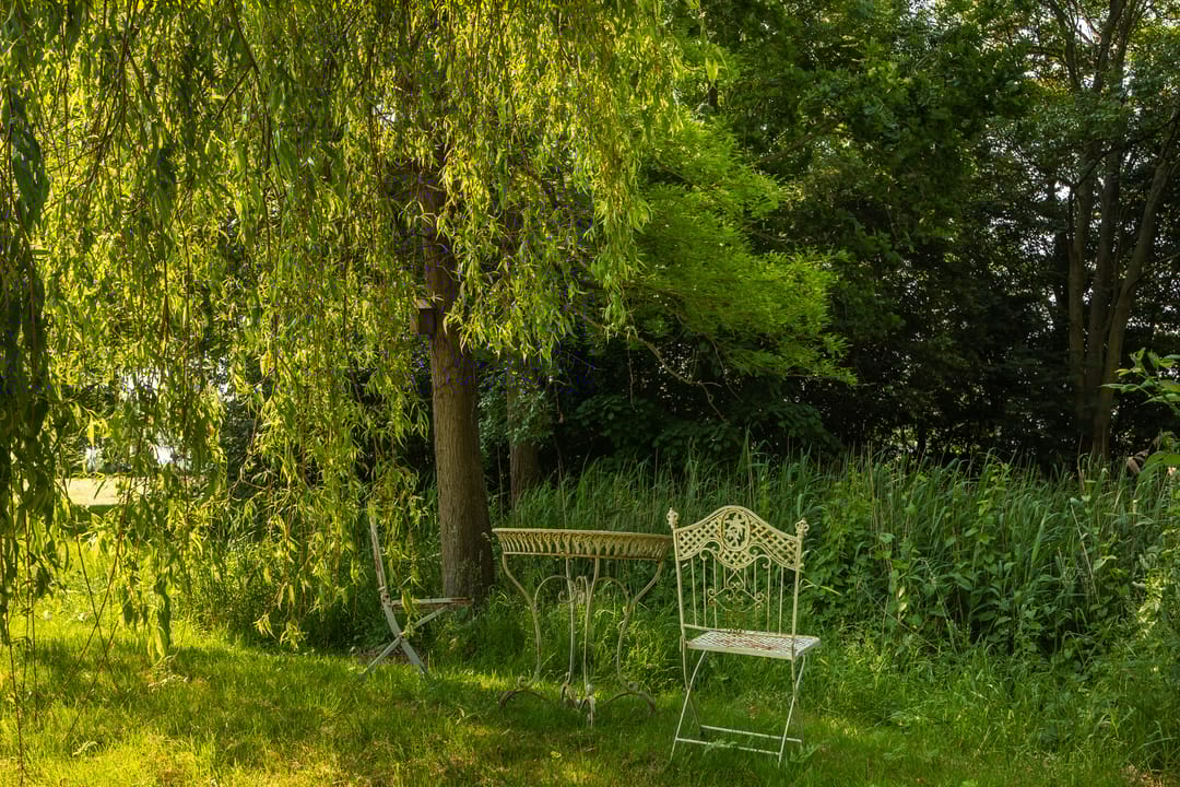 Photo 28 of Frederik Barbarossaweg 2