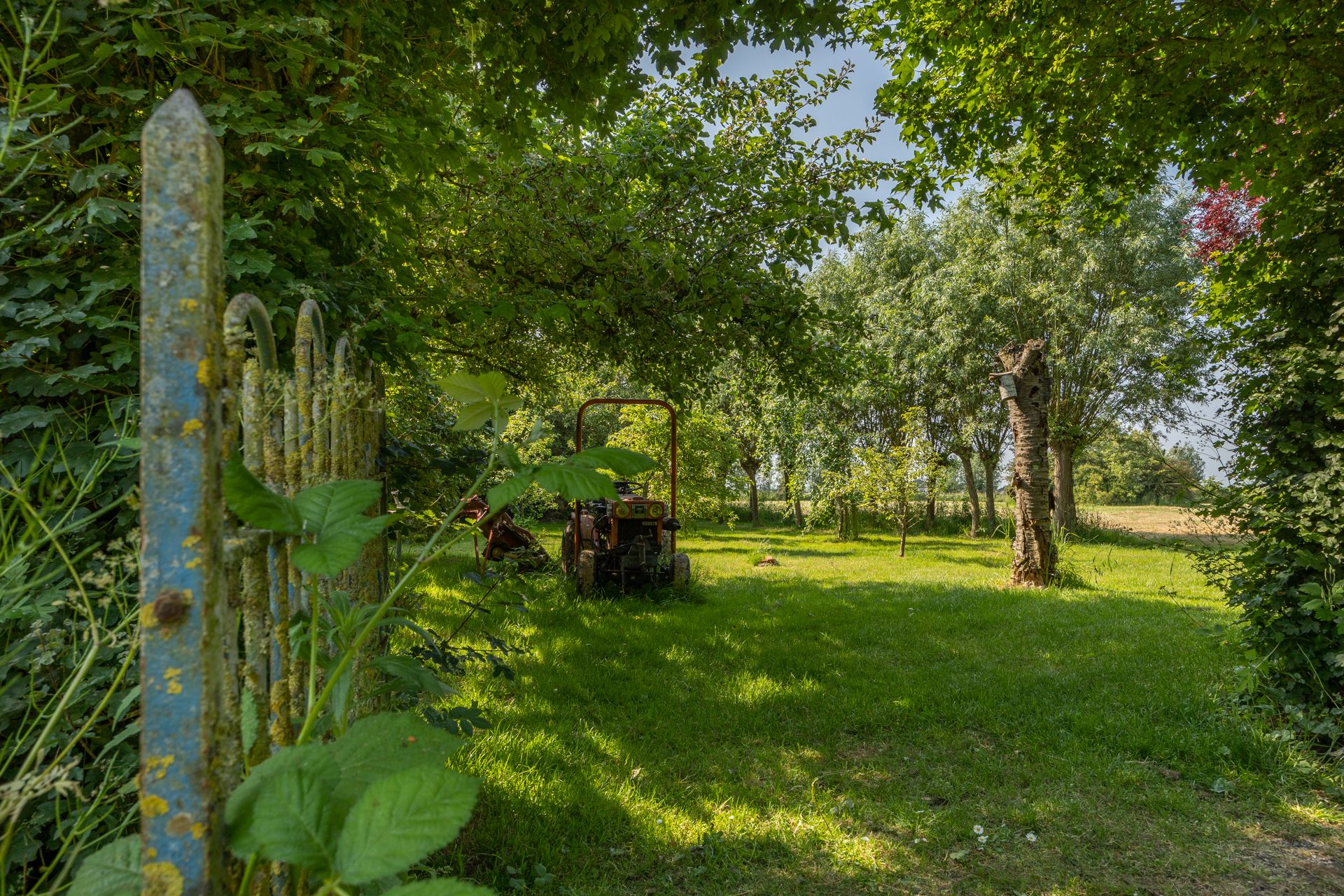 Photo 18 of Frederik Barbarossaweg 2