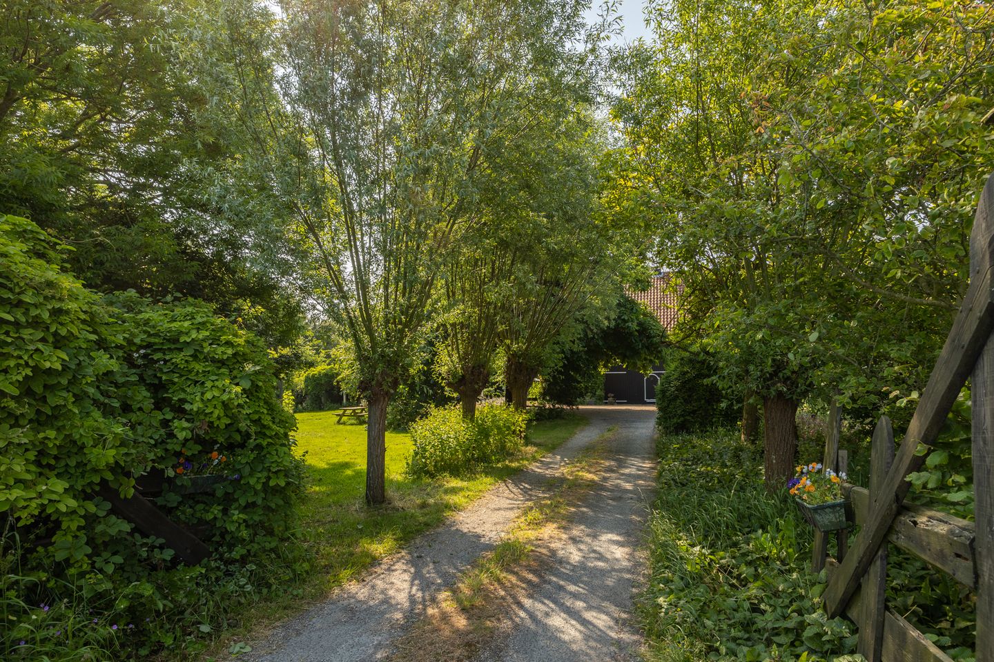 Photo 29 of Frederik Barbarossaweg 2