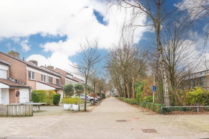 Bekijk foto 45 van Hendersonstraat 11