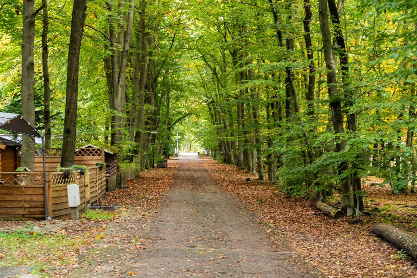 Bekijk foto 2 van Oosterhoutseweg 13