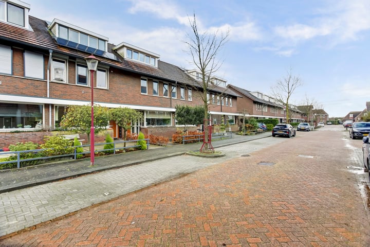 Bekijk foto 4 van Gele lis 52