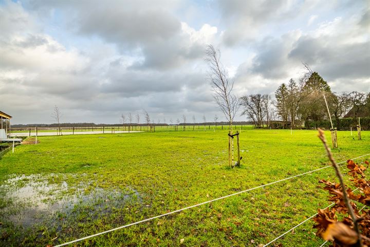 Bekijk foto 19 van de Haspel-boven 5