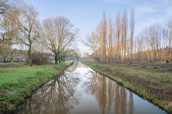 Bekijk foto 33 van Rommesingel 57