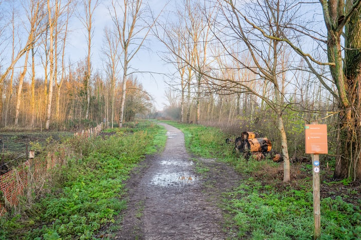 Bekijk foto 2 van Rommesingel 57