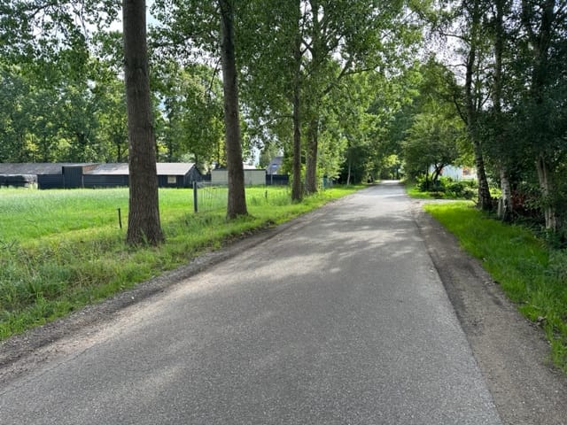 Photo 3 of Vogelenzang