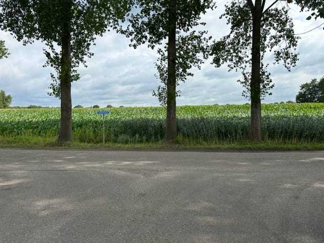 Photo 1 of Vogelenzang