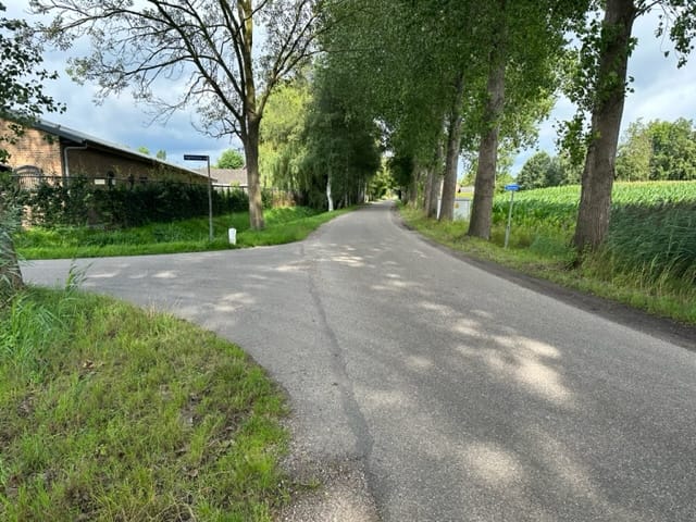 Photo 4 of Vogelenzang