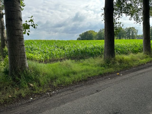 Foto 5 van Vogelenzang