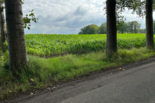 Bekijk foto 5 van Vogelenzang