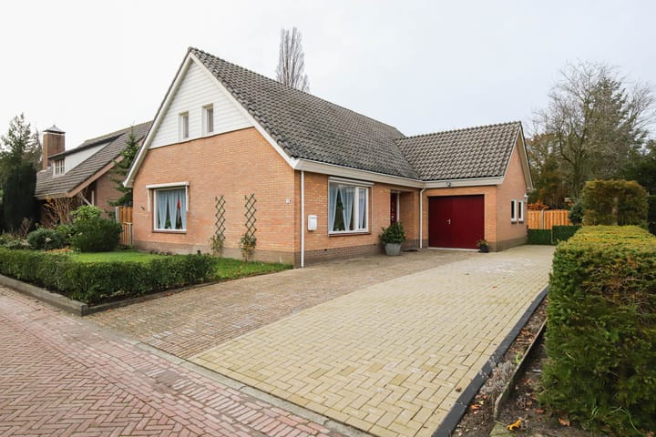 undefined main image