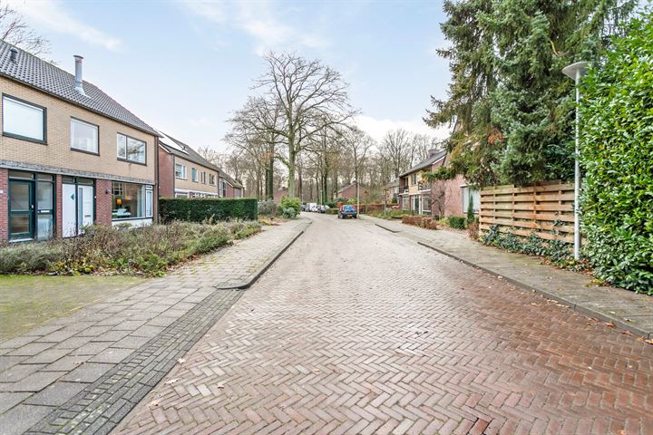 Bekijk foto 38 van Lindeboomlaan 53