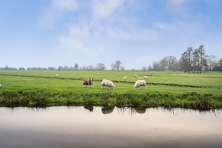 Bekijk foto 37 van Bonrepas 24