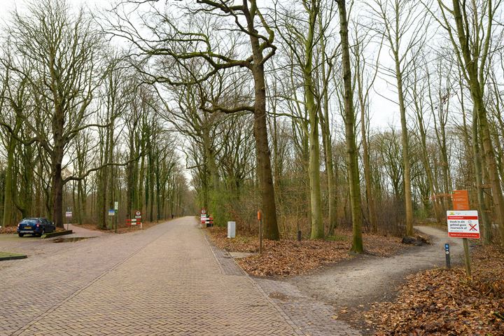 Bekijk foto 3 van Leidsestraatweg 15-117