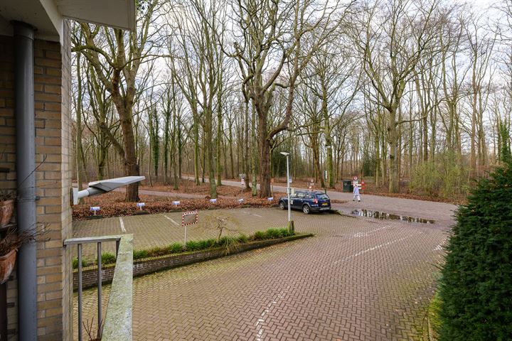 Bekijk foto 14 van Leidsestraatweg 15-117