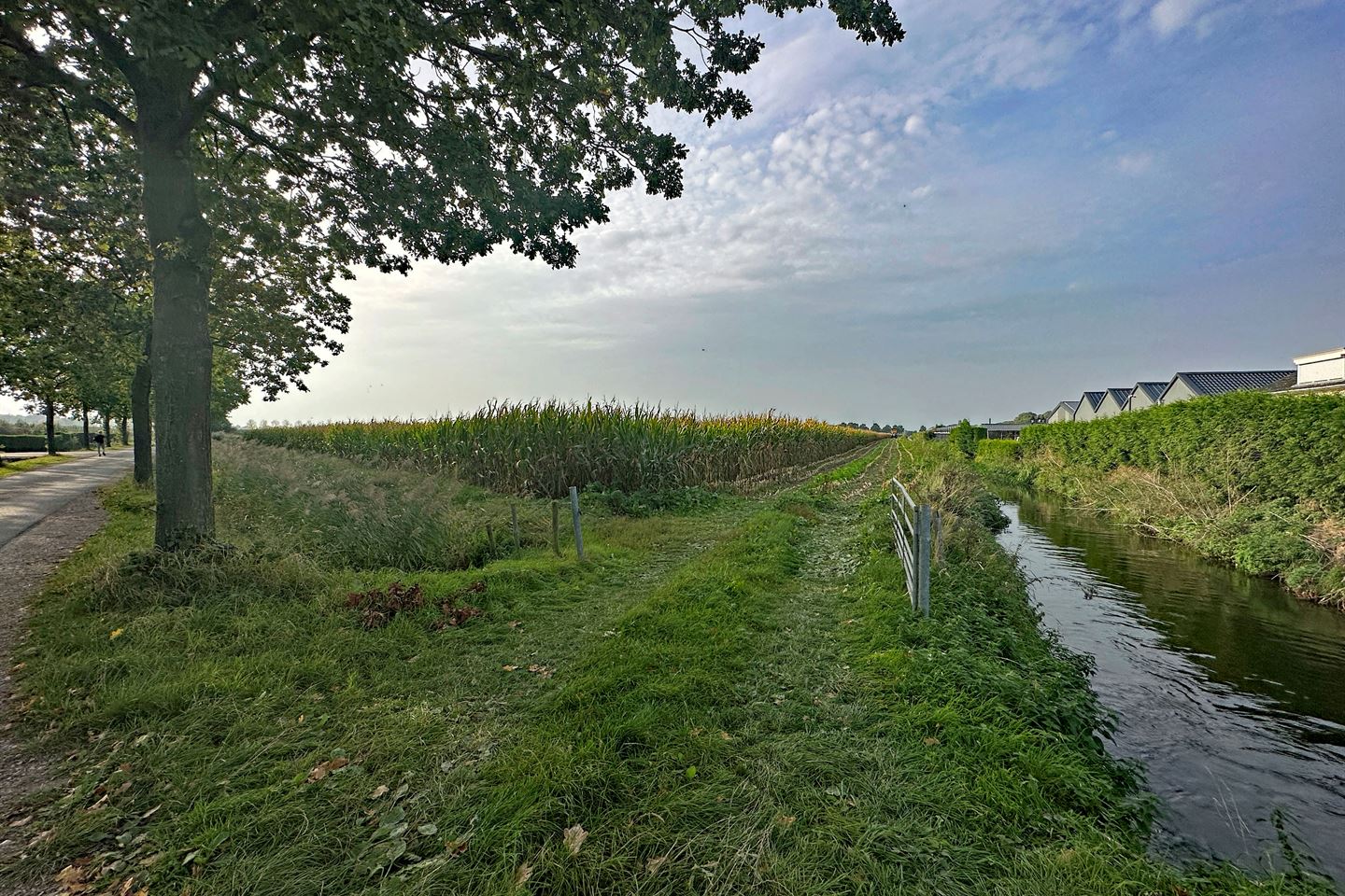 Bekijk foto 1 van Overscharenweg