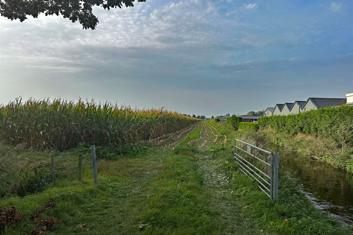 Bekijk foto 2 van Overscharenweg