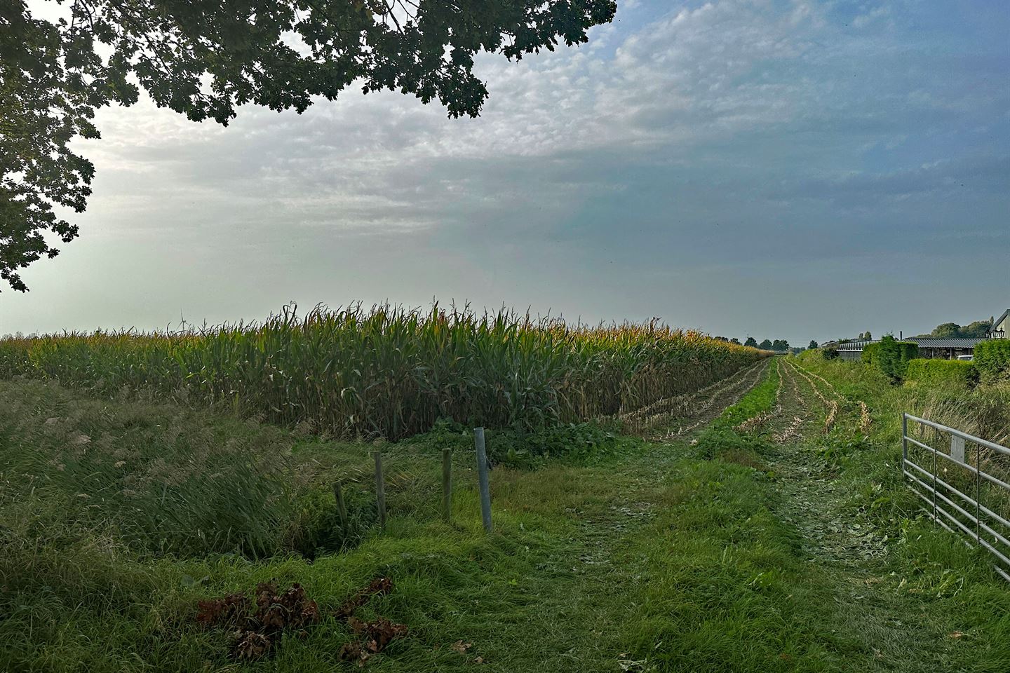 Bekijk foto 4 van Overscharenweg