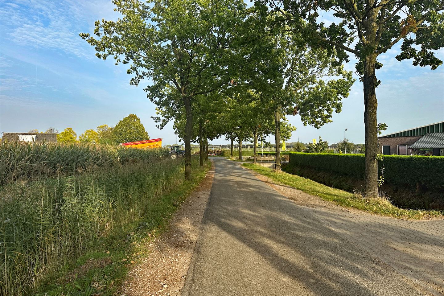 Bekijk foto 5 van Overscharenweg