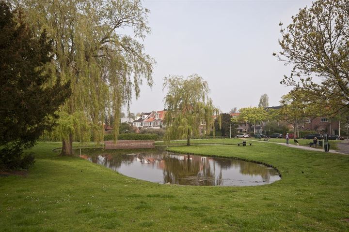 View photo 55 of Prins Hendriklaan 31