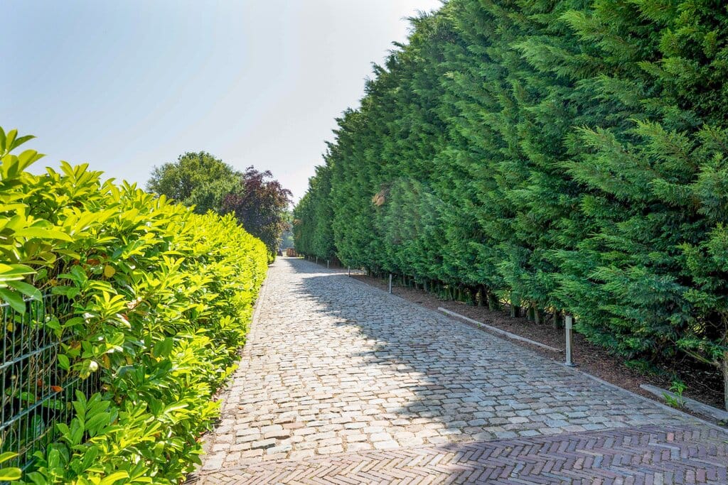 Foto 65 van Molendijk 6