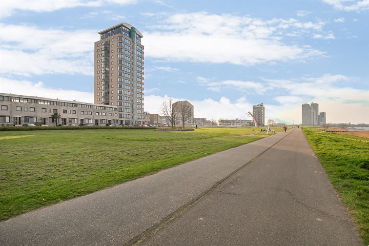 Bekijk foto 7 van Maasboulevard 48-P