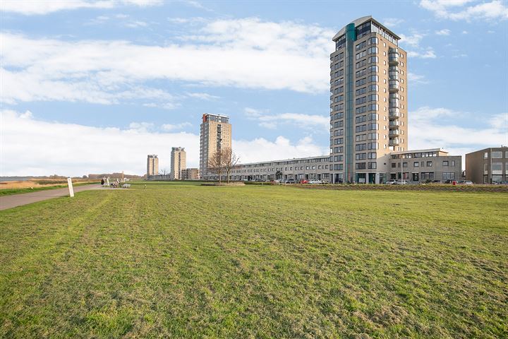 Bekijk foto 9 van Maasboulevard 48-P