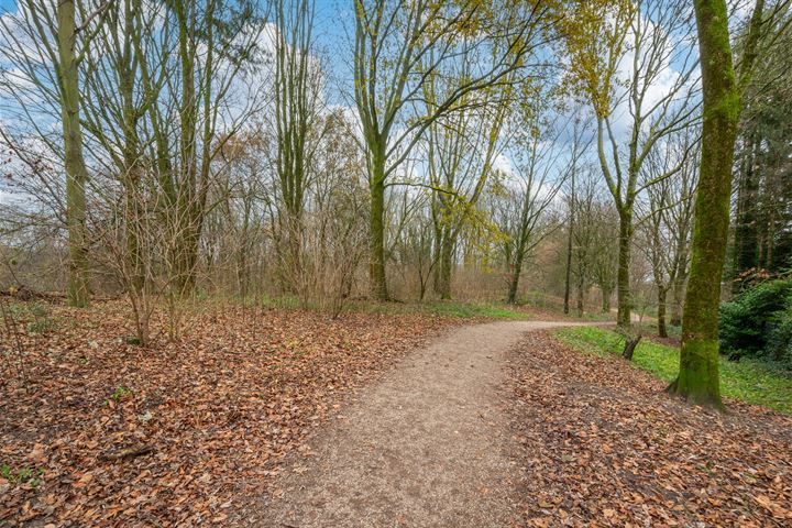 Bekijk foto 34 van Adelbrechtgaarde 11