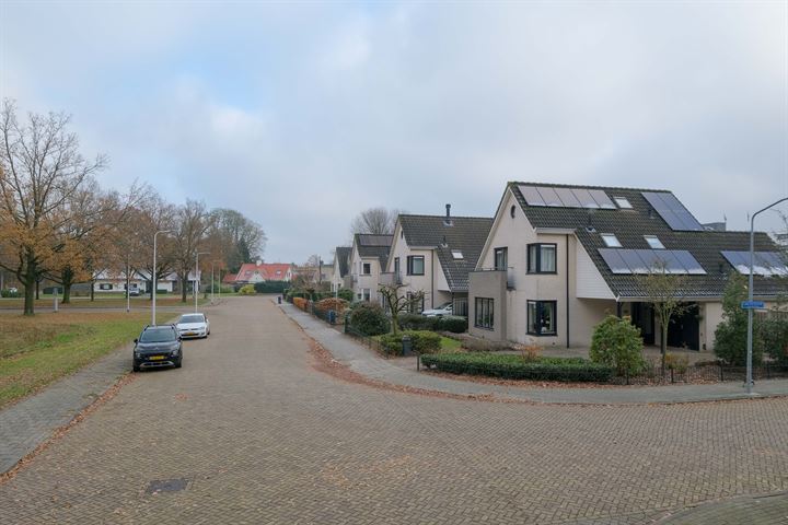 Bekijk foto 33 van Boerhaavelaan 32