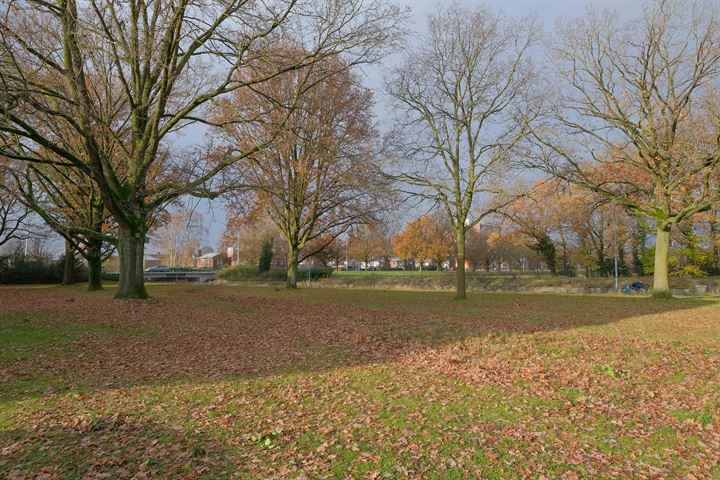 Bekijk foto 35 van Boerhaavelaan 32