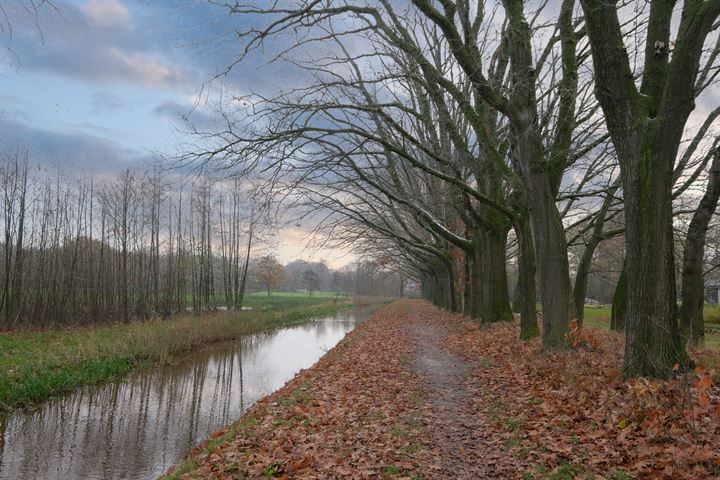 Bekijk foto 39 van Lorentzlaan 11