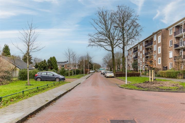 Bekijk foto 31 van Tijgerstraat 203