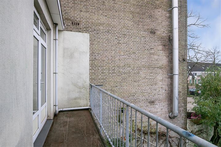 Bekijk foto 14 van Rijnlaan 55-BS