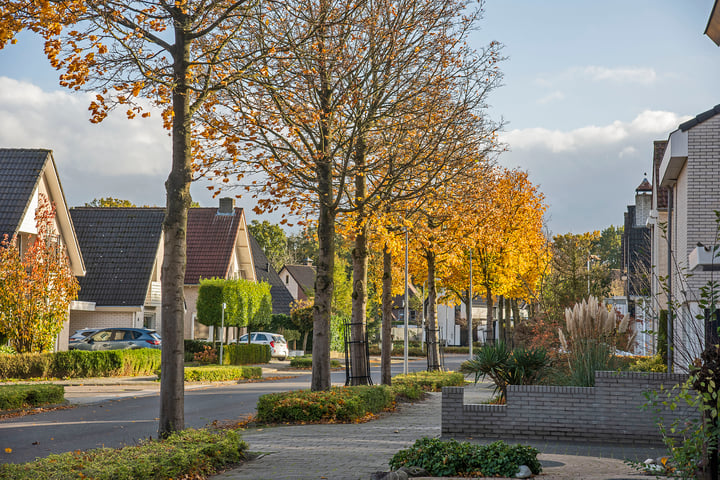 Bekijk foto 36 van Rijnstraat 40