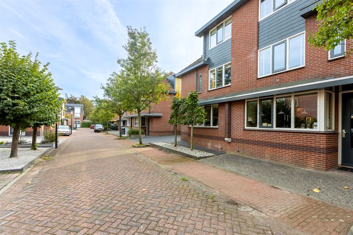 Bekijk foto 46 van Willem Droststraat 3