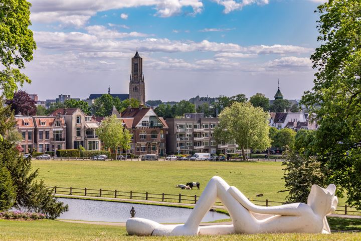 Bekijk foto 17 van Apeldoornseweg 202-3