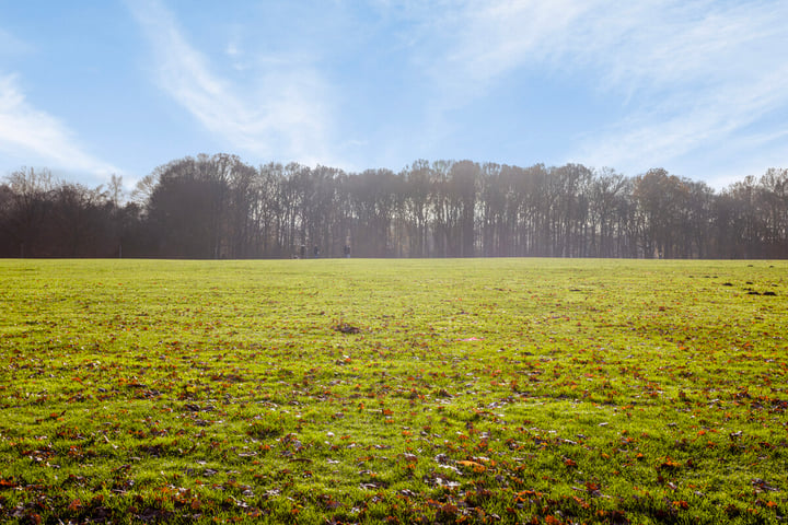 Bekijk foto 23 van Soerendonk 26