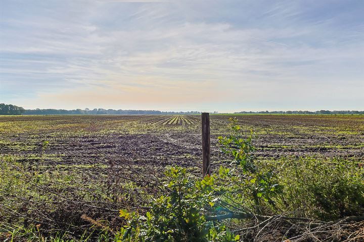 Bekijk foto 75 van Oosteinde 10