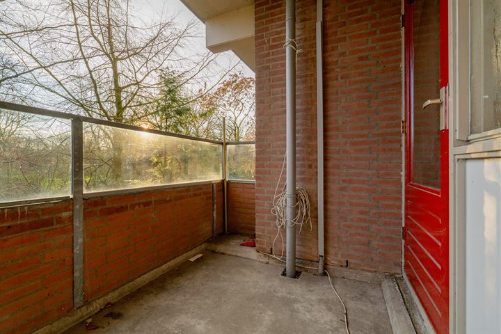 Bekijk foto 30 van Leerdamhof 123