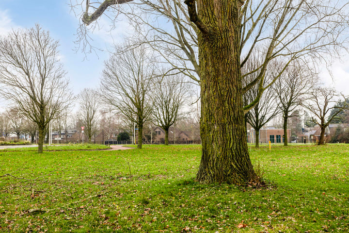 Bekijk foto 33 van de Omloop 19