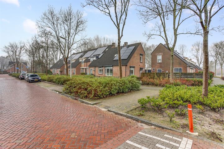 Bekijk foto 4 van Irisstraat 21