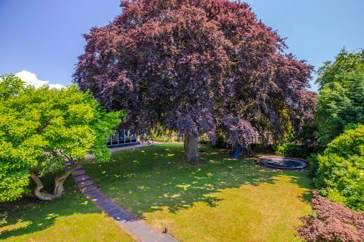 Photo 63 of Dorpsstraat 19