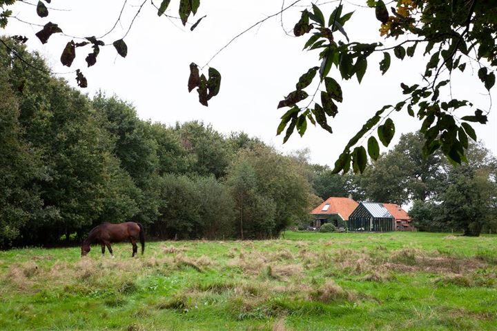 Bekijk foto 3 van Mantingerdijk 12