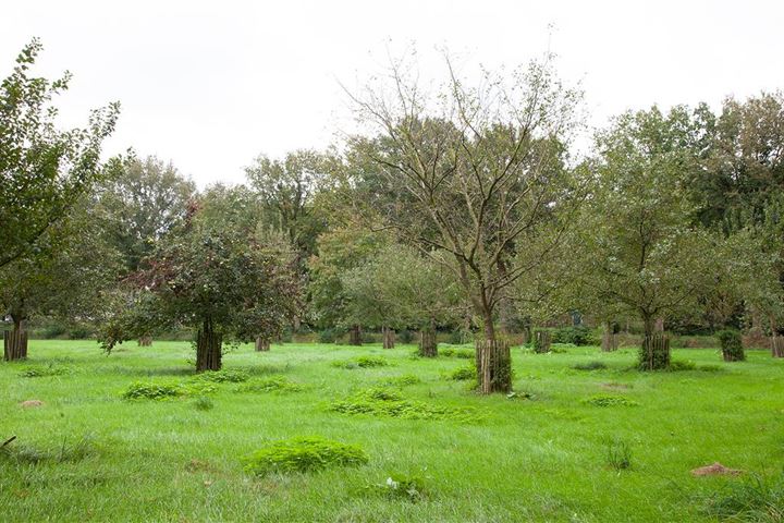 Bekijk foto 41 van Mantingerdijk 12