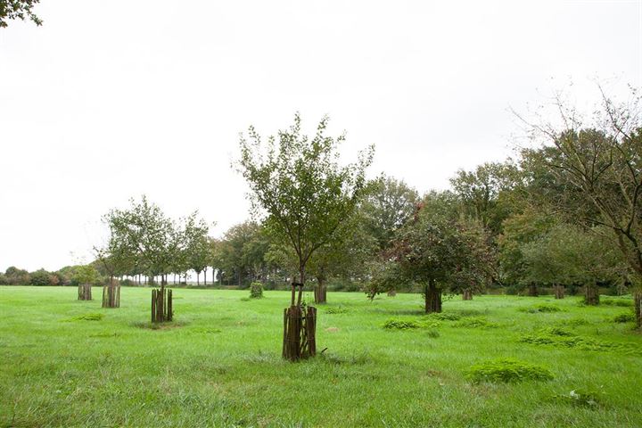 Bekijk foto 40 van Mantingerdijk 12