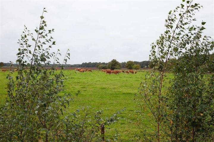 Bekijk foto 54 van Mantingerdijk 12