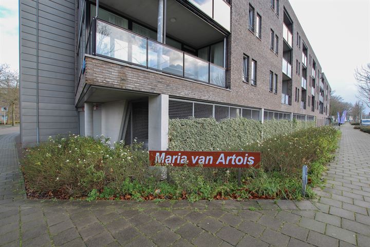 Bekijk foto 18 van Alberdingk Thijmstraat 75