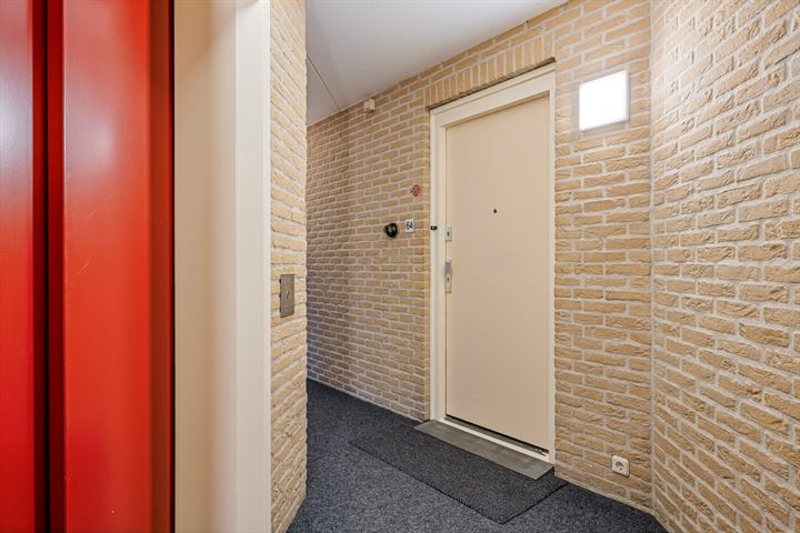 Bekijk foto 41 van Pelmolenstraat 64