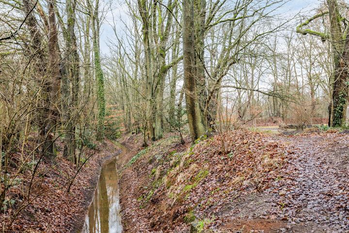 Bekijk foto 44 van Van Miereveltstraat 53