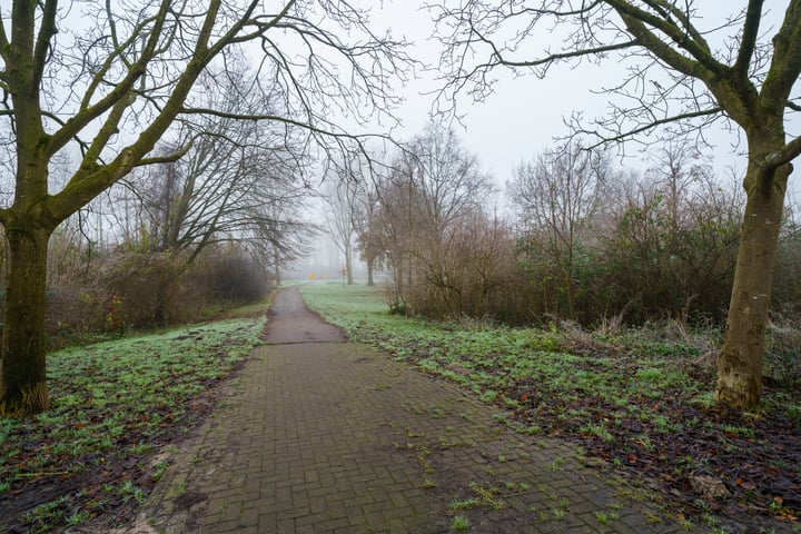 Bekijk foto 42 van Sprengenbergstraat 41